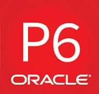 LOGO P6